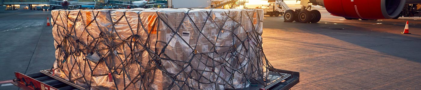 executive charter services cargo anywhere